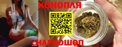 PSILOCYBIN Обь