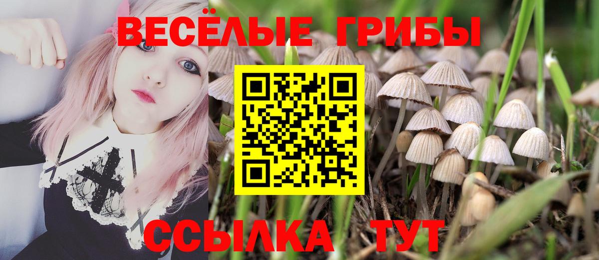 Галлюциногенные грибы Psilocybine cubensis  Галлюциногенные грибы мухоморы  Вход с VPN  Троицк 